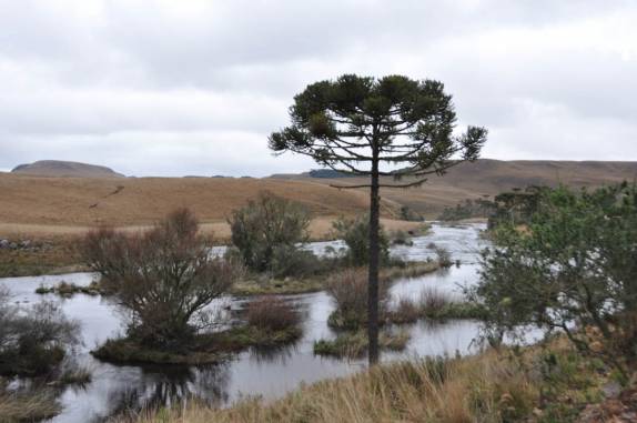 Paisagem bucólica no entorno do rio Silveira, em São José dos Ausentes - RS
